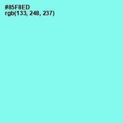 #85F8ED - Anakiwa Color Image