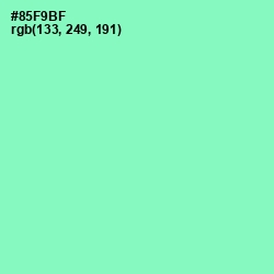 #85F9BF - Algae Green Color Image