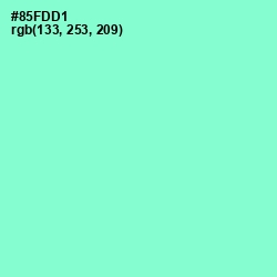 #85FDD1 - Riptide Color Image