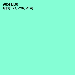 #85FED6 - Riptide Color Image