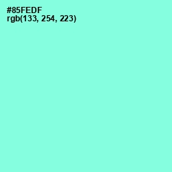 #85FEDF - Riptide Color Image