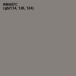 #86807C - Schooner Color Image