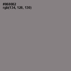 #868082 - Gray Color Image