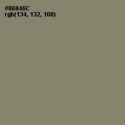 #86846C - Avocado Color Image