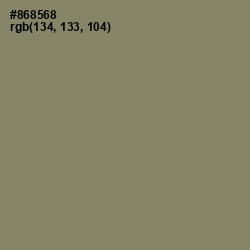 #868568 - Avocado Color Image