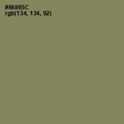 #86865C - Clay Creek Color Image