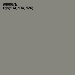 #86867E - Schooner Color Image