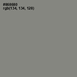 #868680 - Gunsmoke Color Image