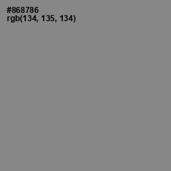 #868786 - Gunsmoke Color Image