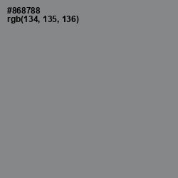 #868788 - Suva Gray Color Image