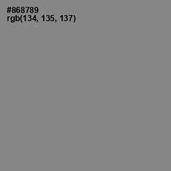 #868789 - Suva Gray Color Image