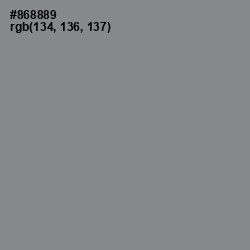 #868889 - Suva Gray Color Image