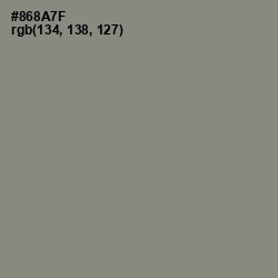 #868A7F - Schooner Color Image