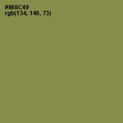 #868C49 - Clay Creek Color Image