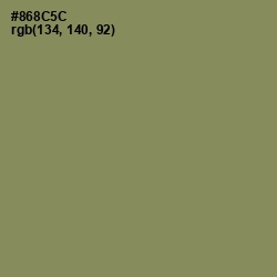 #868C5C - Avocado Color Image