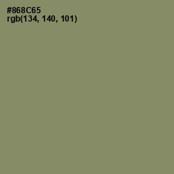 #868C65 - Avocado Color Image