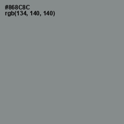 #868C8C - Stack Color Image