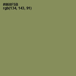 #868F5B - Avocado Color Image