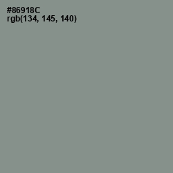 #86918C - Spanish Green Color Image
