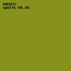 #86921C - Hacienda Color Image