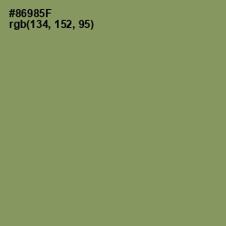 #86985F - Avocado Color Image