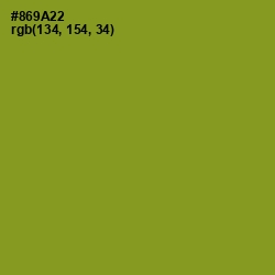 #869A22 - Sycamore Color Image
