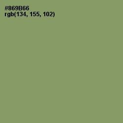 #869B66 - Avocado Color Image