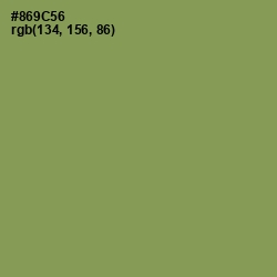 #869C56 - Chelsea Cucumber Color Image