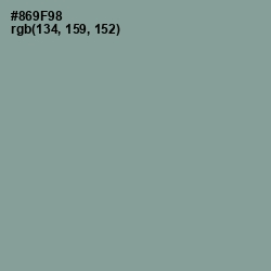 #869F98 - Mantle Color Image