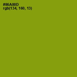 #86A00D - Citron Color Image