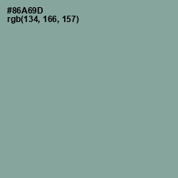 #86A69D - Envy Color Image