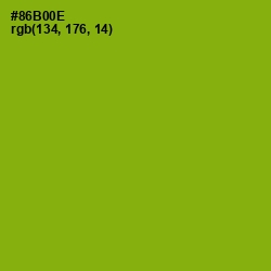#86B00E - Citron Color Image