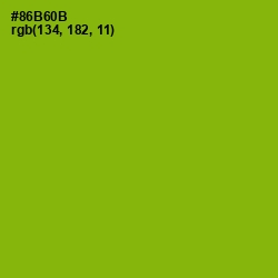 #86B60B - Citron Color Image