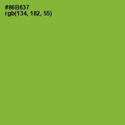 #86B637 - Sushi Color Image