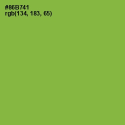 #86B741 - Chelsea Cucumber Color Image
