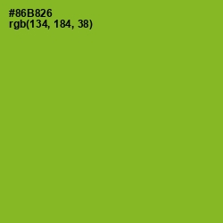 #86B826 - Sushi Color Image