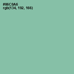 #86C0A6 - Shadow Green Color Image