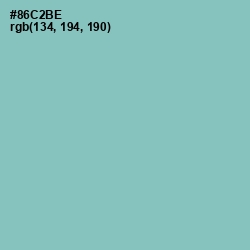 #86C2BE - Shadow Green Color Image