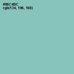 #86C4BC - Shadow Green Color Image