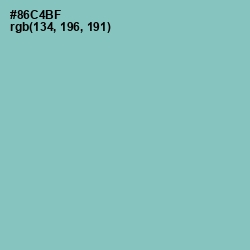 #86C4BF - Shadow Green Color Image