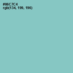 #86C7C4 - Half Baked Color Image