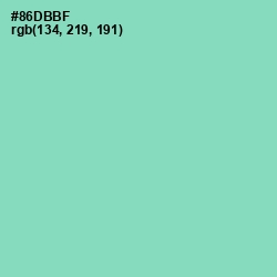 #86DBBF - Vista Blue Color Image