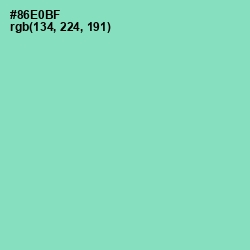 #86E0BF - Algae Green Color Image