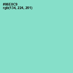 #86E0C9 - Riptide Color Image