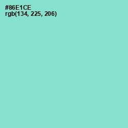 #86E1CE - Riptide Color Image