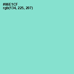 #86E1CF - Riptide Color Image