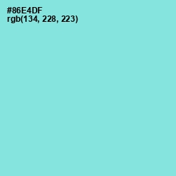 #86E4DF - Riptide Color Image