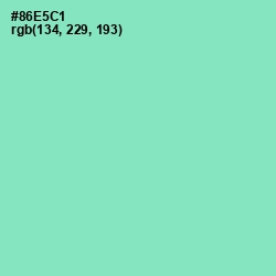 #86E5C1 - Riptide Color Image