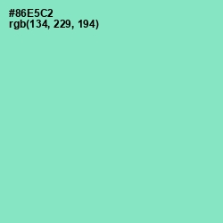 #86E5C2 - Riptide Color Image