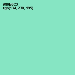 #86E6C3 - Riptide Color Image